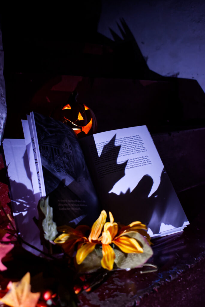 Das Buch Sagen aus Kirkel an Halloween